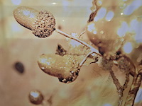 Ca. 17x decoratiepaneel - afbeelding 2 van  5