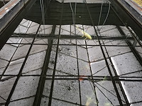 Ca. 18x koi karper - afbeelding 5 van  10