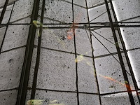 Ca. 18x koi karper - afbeelding 6 van  10