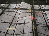 Ca. 18x koi karper - afbeelding 8 van  10