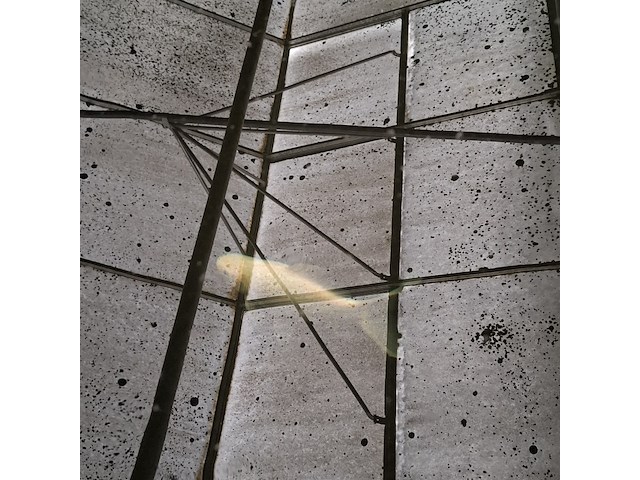 Ca. 18x koi karper - afbeelding 9 van  10