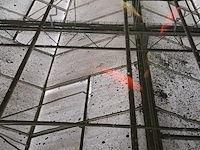 Ca. 18x koi karper - afbeelding 10 van  10