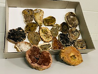 Ca. 18x versteend hout plakken - afbeelding 1 van  5