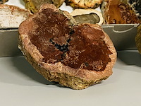 Ca. 18x versteend hout plakken - afbeelding 2 van  5