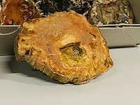 Ca. 18x versteend hout plakken - afbeelding 3 van  5