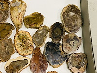 Ca. 18x versteend hout plakken - afbeelding 4 van  5