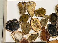 Ca. 18x versteend hout plakken - afbeelding 5 van  5