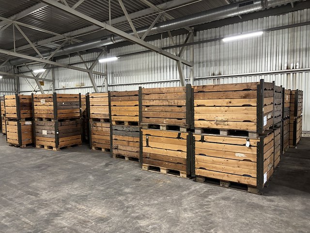 Ca. 2000x zitkussen, daf - afbeelding 1 van  7