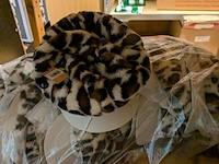 Ca. 200x dames winterpetten en hoeden, diverse kleuren - afbeelding 7 van  9