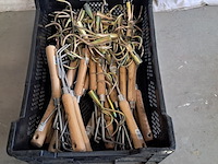 Ca. 200x hand tuin gereedschap & diversen - afbeelding 4 van  15