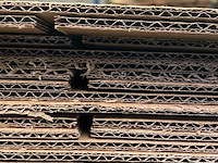 Ca. 200x lange verzenddozen dubbelgolf, bruin - afbeelding 3 van  3