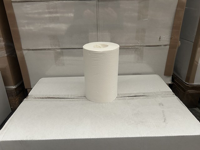 Ca. 204x handdoekrol mini coreless 100% cellulose 2 laags geperforeerd 20 cm 72 meter - afbeelding 1 van  4