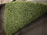 Ca. 20,64m2 kunstgras, 10 mm hoog, groen - afbeelding 2 van  2