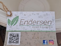 Ca. 20x kunststof bloempot, endersen - afbeelding 6 van  8