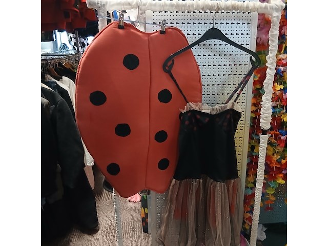 Ca. 21x partij verkleedkleding - afbeelding 4 van  5