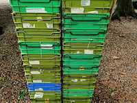 Ca. 21x stapelkratten, groen