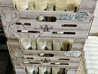 Ca. 224x rush gel, urban tribe