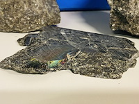 Ca. 22x spectroliet ruwe brokken - afbeelding 3 van  5