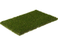 Ca. 23,18m2 kunstgras, 30 mm hoog, groen - afbeelding 1 van  3