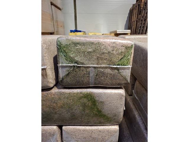 Ca. 24 baal bodembedekker - afbeelding 6 van  7