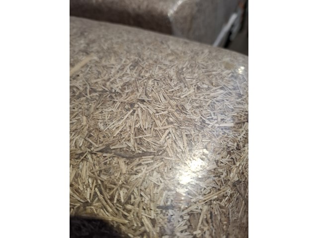 Ca. 24 baal bodembedekker - afbeelding 7 van  7