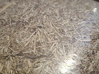 Ca. 24 baal bodembedekker - afbeelding 7 van  7