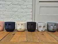 Ca. 240x plantenpotten , plant potheads, plant pot, 2023 - afbeelding 1 van  7