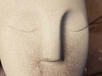 Ca. 240x plantenpotten , plant potheads, plant pot, 2023 - afbeelding 4 van  7