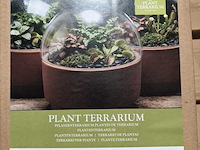 Ca. 25x planten terrarium esschert design - afbeelding 2 van  3