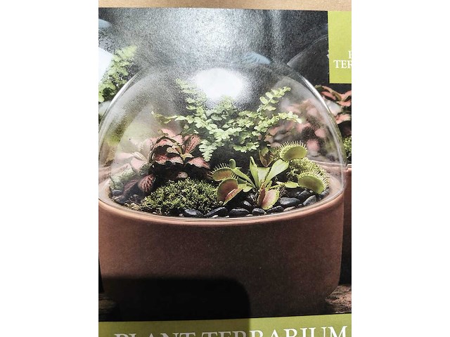 Ca. 25x planten terrarium esschert design - afbeelding 3 van  3