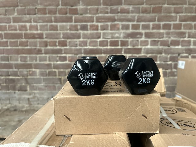 Ca. 27x set van 2 dumbbells 2 kg - afbeelding 1 van  5