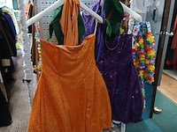 Ca. 29x fruitkostuums - afbeelding 3 van  5
