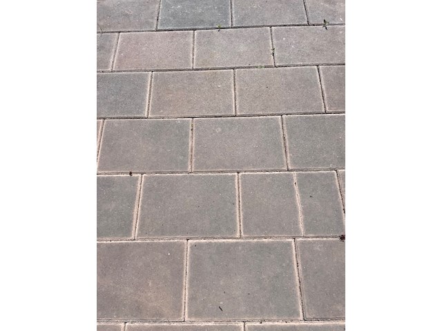 Ca. 300m² getrommelde bestating - afbeelding 3 van  3