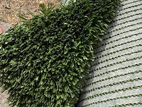 Ca. 30,4 m2 kunstgras, 24 mm hoog, groen - afbeelding 3 van  3