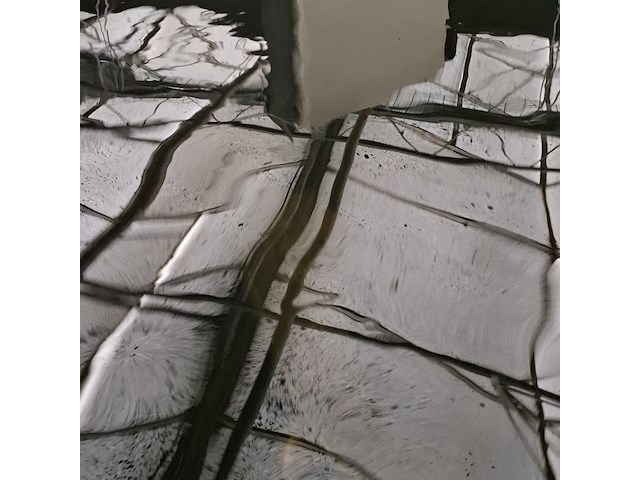 Ca. 30x koi karper 1x steur - afbeelding 4 van  12