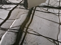 Ca. 30x koi karper 1x steur - afbeelding 4 van  12