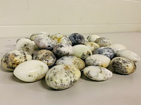 Ca. 30x merliniet / dendrietenopaal handsteen - afbeelding 1 van  5
