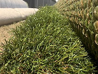 Ca. 32,4m2 kunstgras, 40 mm hoog, groen - afbeelding 2 van  3