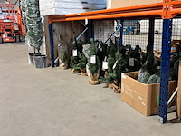 Ca. 32x kerstboompjes met en zonder verlichting , diverse modellen, merken en afmetingen - afbeelding 1 van  7