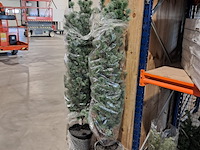 Ca. 32x kerstboompjes met en zonder verlichting , diverse modellen, merken en afmetingen - afbeelding 2 van  7