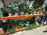 Ca. 33x kunstplant ikea, fekjka - afbeelding 1 van  14