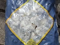 Ca. 33x zak carrara keitjes a 20 kg, gardenlux, wit - afbeelding 2 van  5