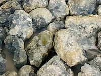 Ca. 38x celestien ruwe stukken - afbeelding 5 van  7
