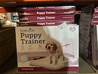 Ca. 42x puppy trainer kowloon - afbeelding 2 van  6