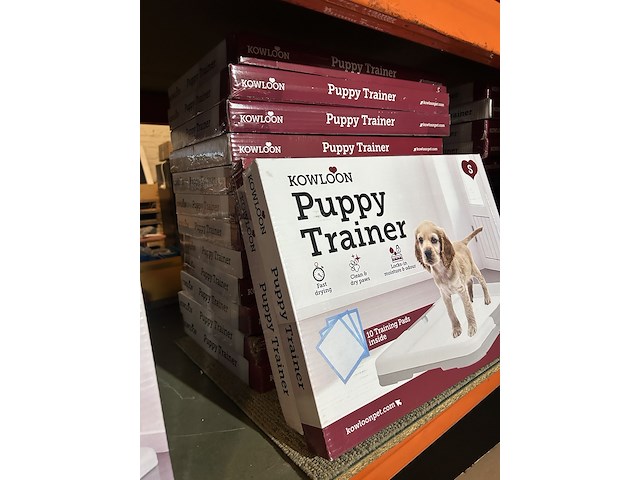 Ca. 42x puppy trainer kowloon - afbeelding 3 van  6