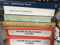 Ca. 438x leesboeken - afbeelding 7 van  29