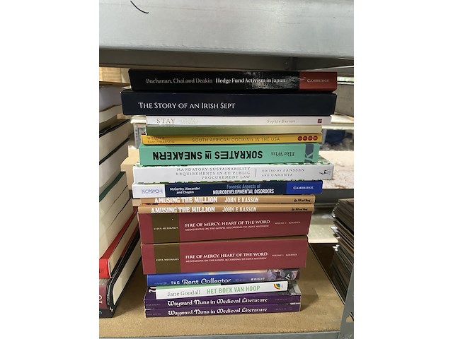 Ca. 438x leesboeken - afbeelding 13 van  29