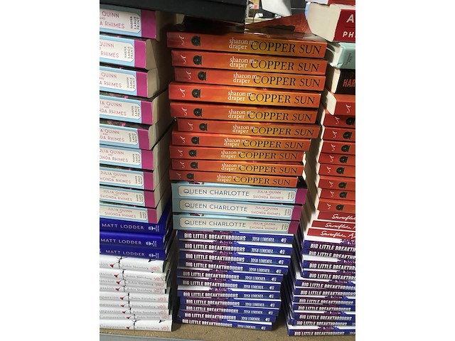 Ca. 438x leesboeken - afbeelding 24 van  29