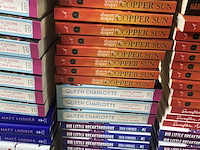 Ca. 438x leesboeken - afbeelding 24 van  29