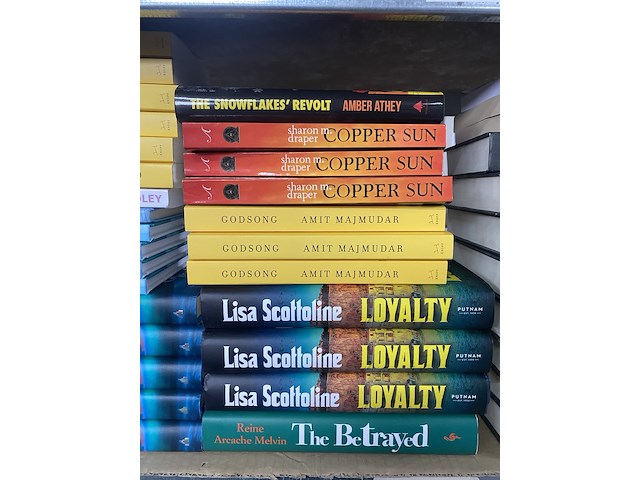 Ca. 438x leesboeken - afbeelding 28 van  29